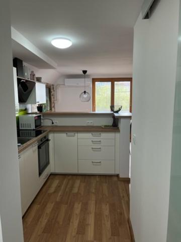Apartma Ela Zgornje Gorje Εξωτερικό φωτογραφία